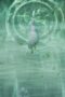 Nonton Film The Magical Chef of Ice and Fire Season 2 Episode 39 Terbaru Nonton Film The Magical Chef of Ice and Fire Season 2 Episode 39 Terbaru