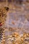 Nonton Film Earthsounds Season 1 Episode 10 Terbaru Nonton Film Earthsounds Season 1 Episode 10 Terbaru