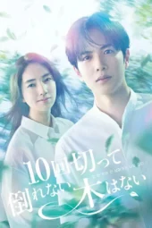 Nonton Film 10 Kai Kitte Taorenai Ki wa Nai (2026) Terbaru Nonton Film 10 Kai Kitte Taorenai Ki wa Nai (2026) Terbaru
