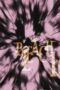 Nonton Film Bleach Season 1 Episode 161 Terbaru Nonton Film Bleach Season 1 Episode 161 Terbaru