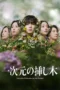 Nonton Film Ichigen no Sashiki (2026) Terbaru Nonton Film Ichigen no Sashiki (2026) Terbaru