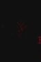 Nonton Film Bleach Season 1 Episode 225 Terbaru Nonton Film Bleach Season 1 Episode 225 Terbaru