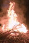 Nonton Film Outlast: The Jungle Season 1 Episode 6 Terbaru Nonton Film Outlast: The Jungle Season 1 Episode 6 Terbaru