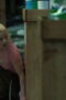 Nonton Film Lucky Season 1 Episode 2 Terbaru