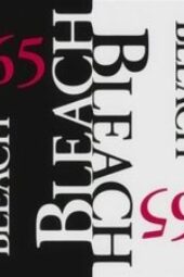 Nonton Film Bleach Season 1 Episode 165 Terbaru