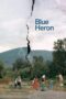 Nonton Film Blue Heron (2026) Terbaru